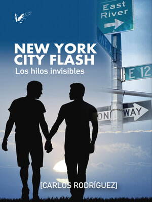 cover image of New York City Flash